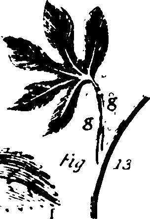 115/115500050002120_1.png