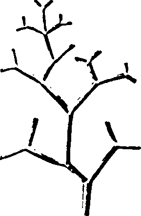 115/115500050002120_2.png
