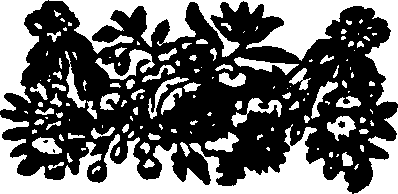 115/115500070000240_0.png