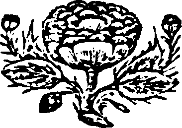 115/115500070001880_0.png