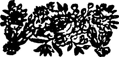 115/115500070002770_0.png