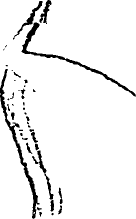 115/115500070002790_1.png