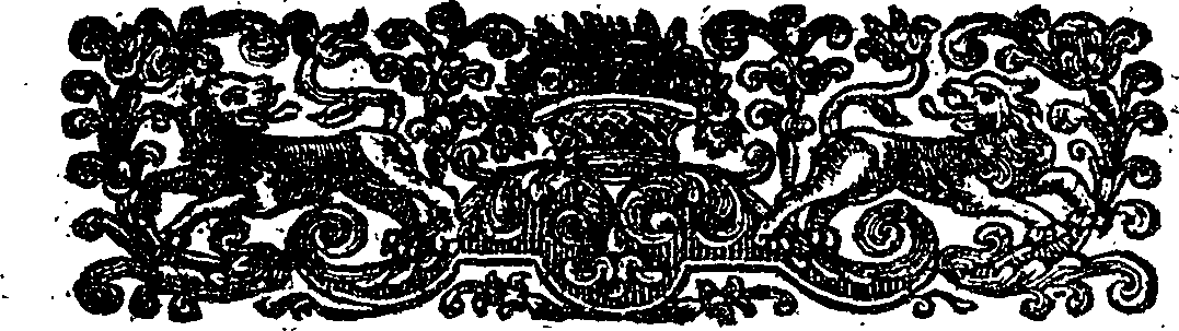 115/115600020000050_1.png