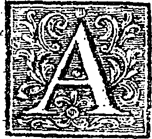 115/115600020001240_0.png
