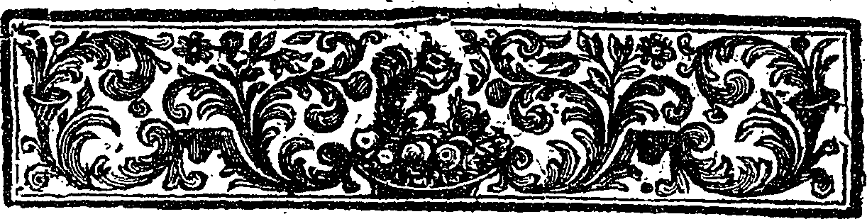 115/115600020001950_1.png