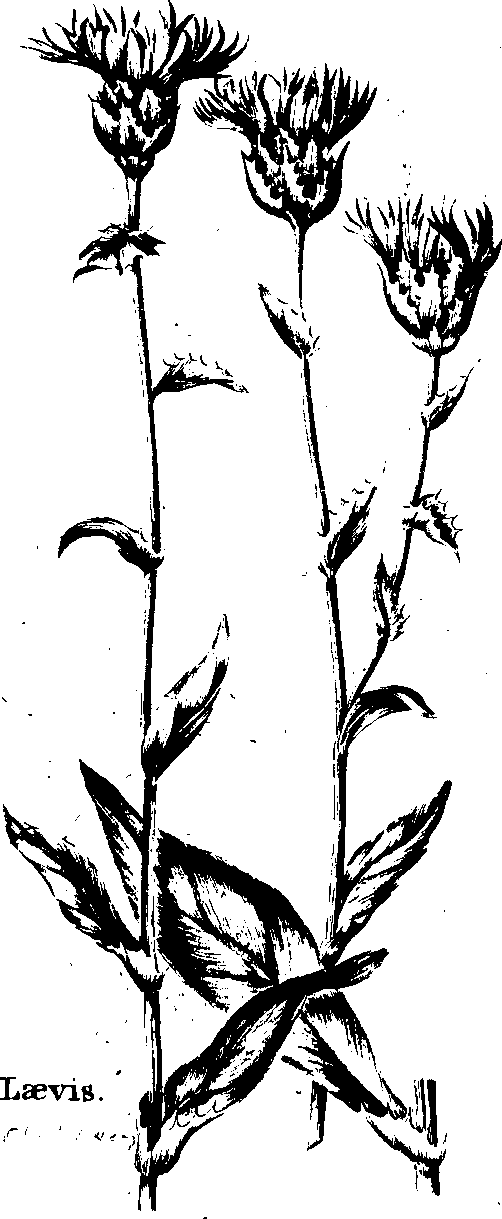 115/115810010000640_0.png