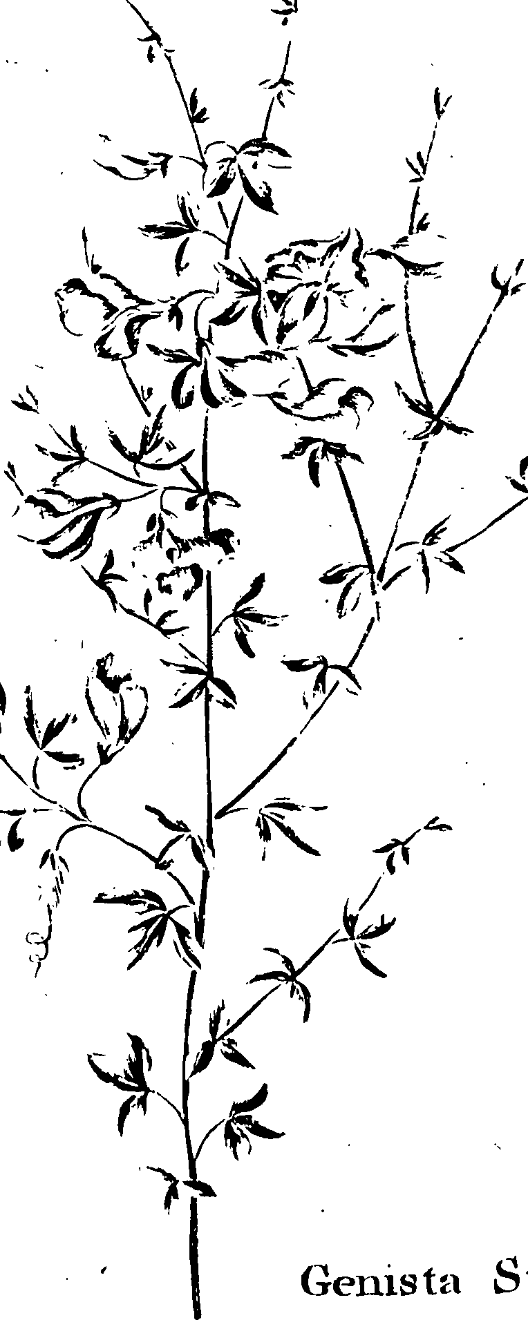 115/115810010003220_0.png