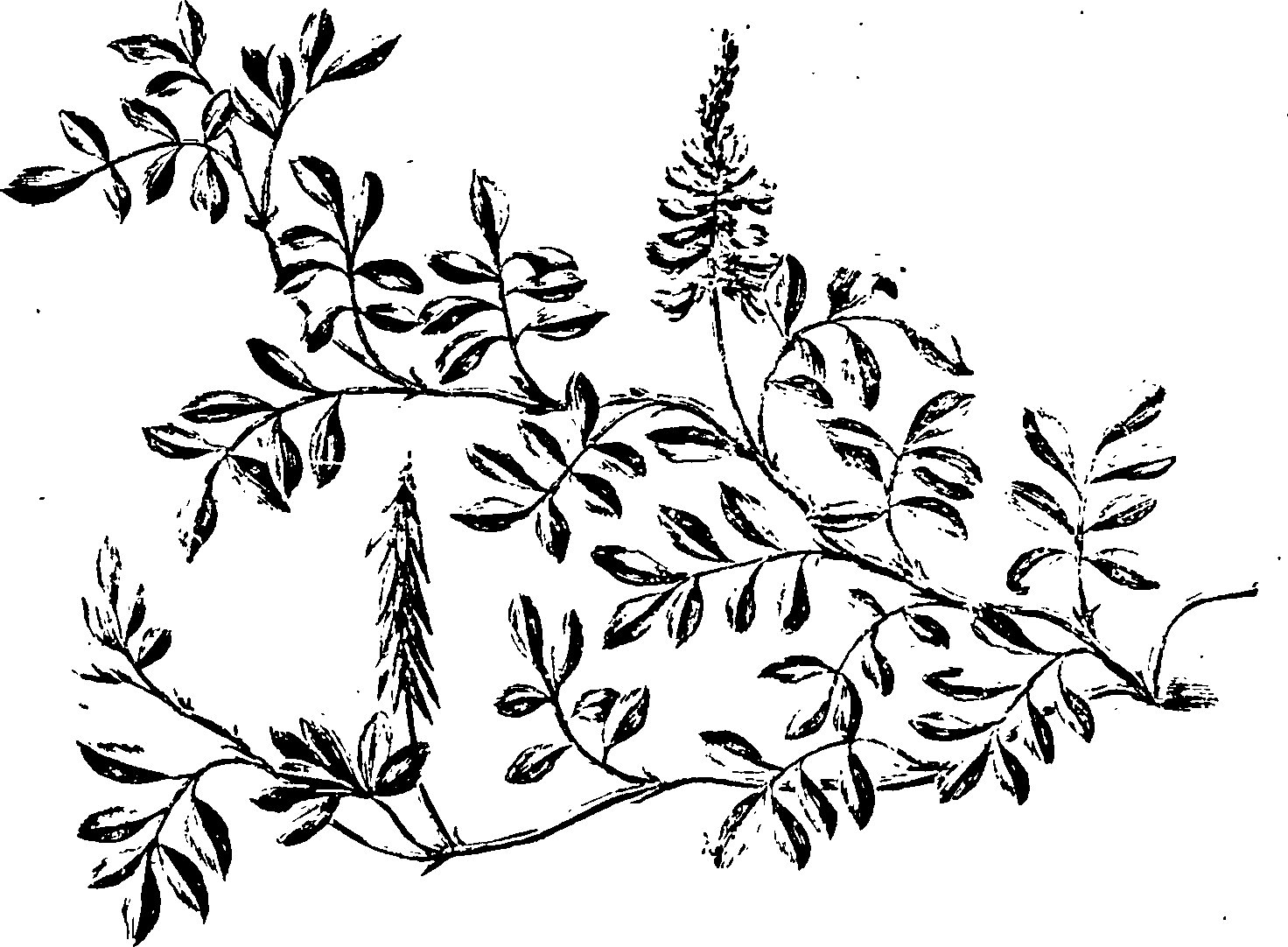 115/115810010003330_0.png