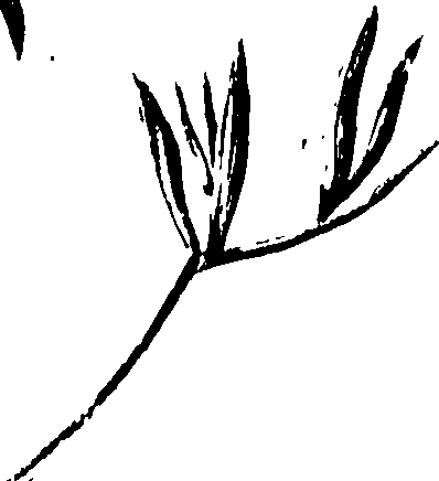 115/115810010003380_0.png