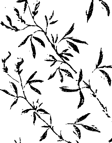 115/115810010004840_0.png