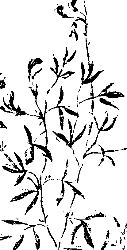 115/115810010004840_1.png