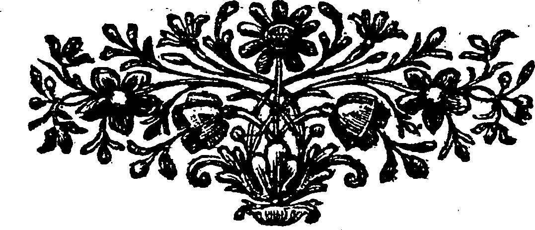 115/115820010002390_0.png