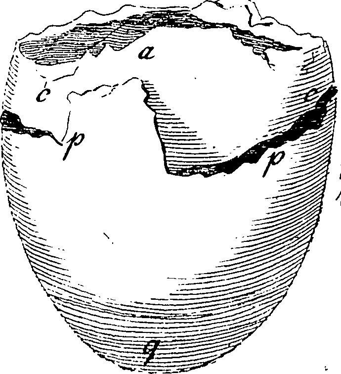 115/115820010002610_0.png