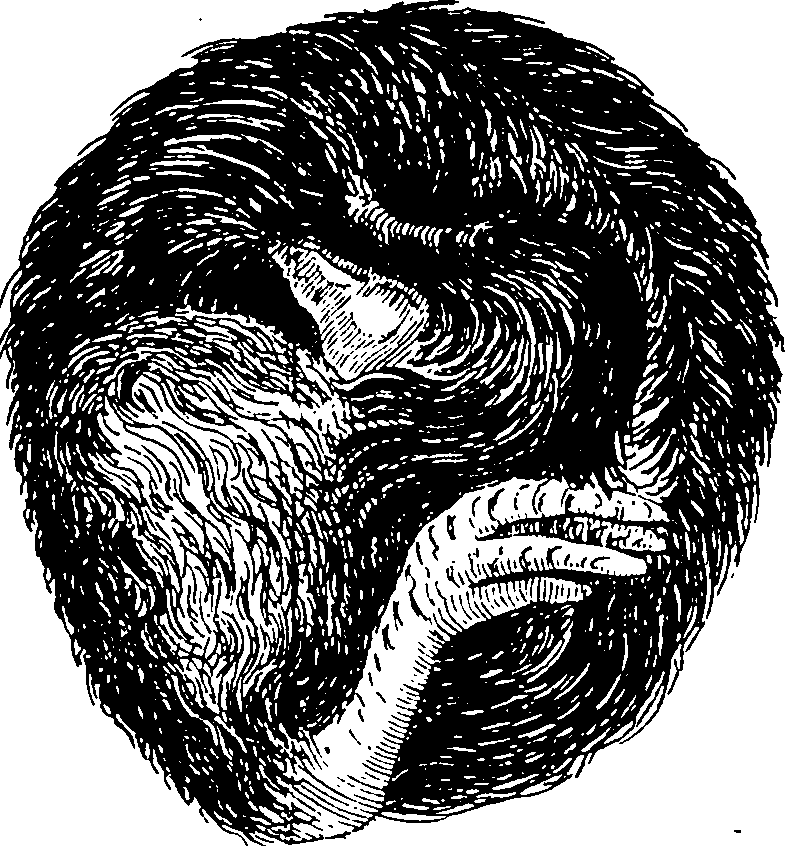 115/115820010002610_1.png