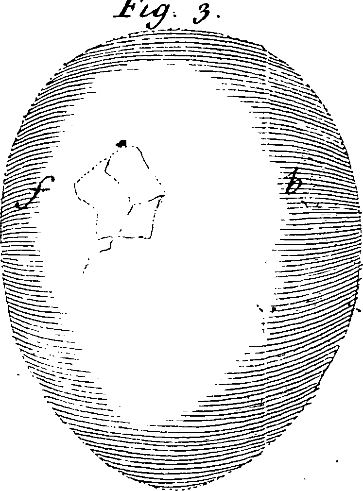 115/115820010002610_2.png