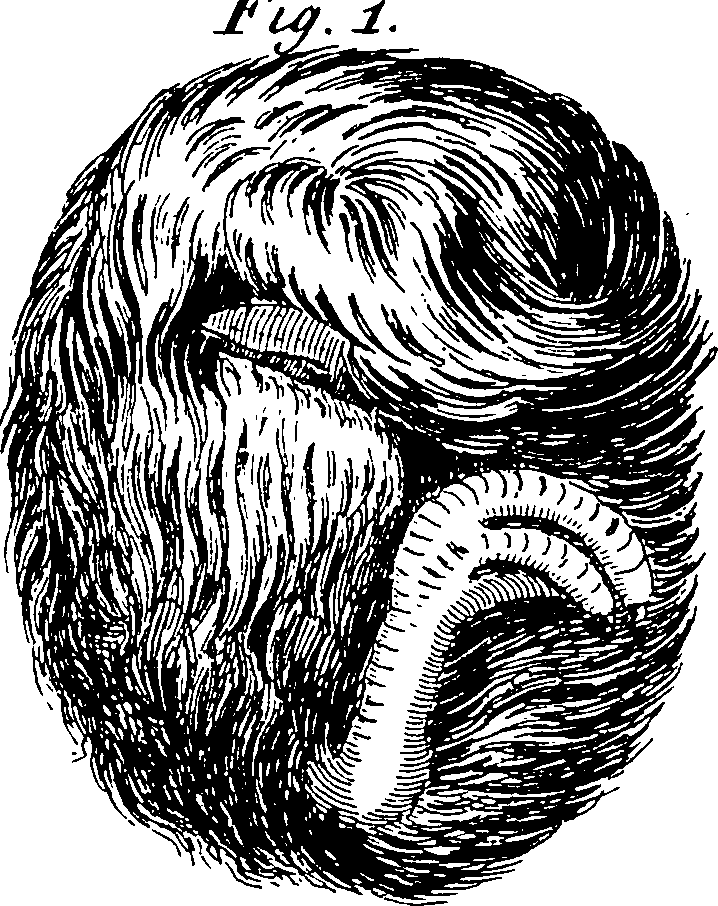 115/115820010002610_3.png