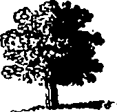 115/115820020000080_0.png