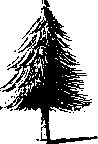 115/115820020000090_5.png