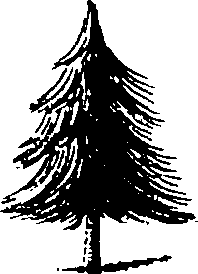 115/115820020000090_6.png