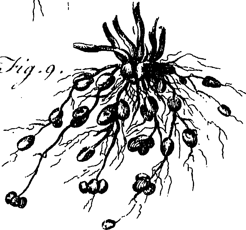 115/115830020004420_0.png