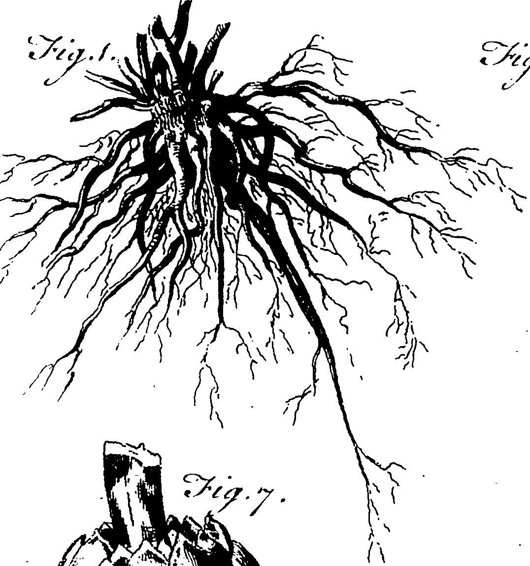 115/115830020004420_3.png