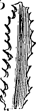 115/115830020004430_0.png