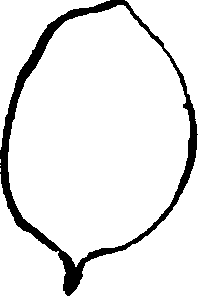 115/115830020004430_10.png