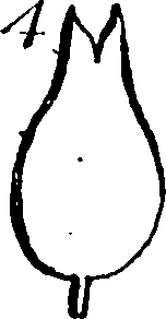 115/115830020004430_2.png