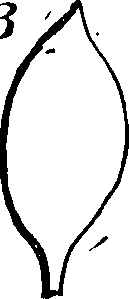 115/115830020004430_3.png