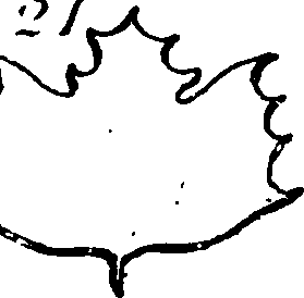 115/115830020004430_5.png