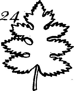 115/115830020004430_6.png