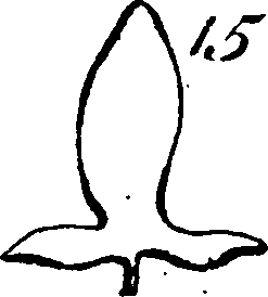 115/115830020004430_8.png