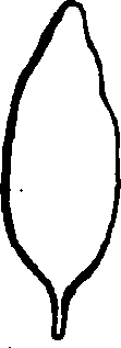115/115830020004430_9.png