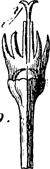 115/115830020004450_0.png