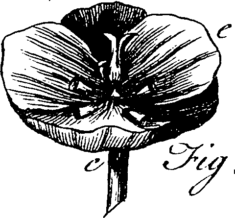 115/115830020004450_2.png