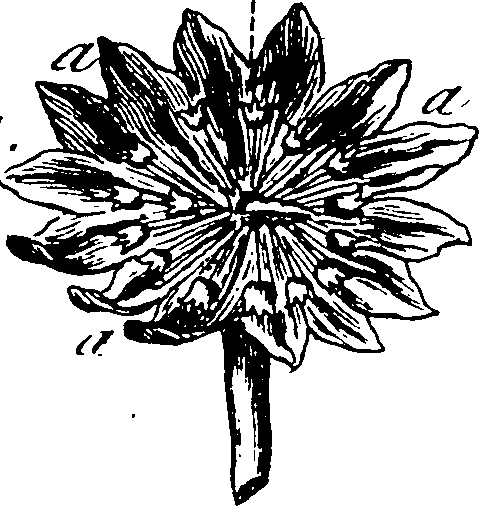 115/115830020004450_3.png