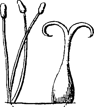 115/115830020004460_0.png