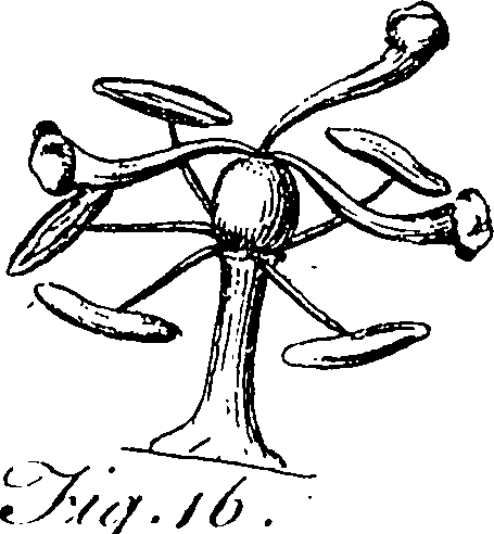 115/115830020004460_1.png