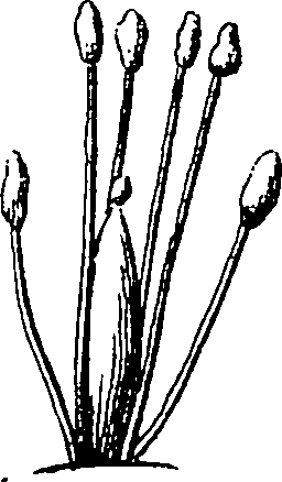 115/115830020004460_2.png