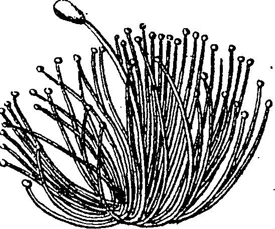 115/115830020004460_3.png