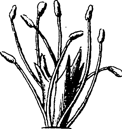 115/115830020004460_4.png