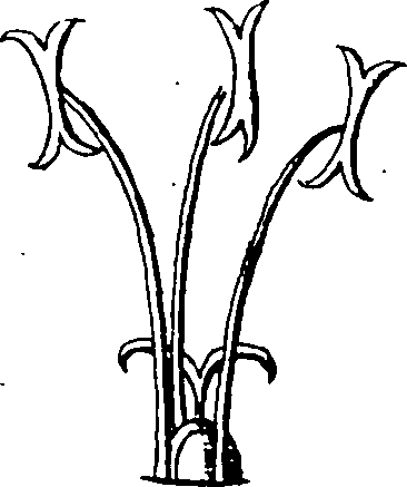 115/115830020004460_5.png