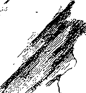 115/115830030004550_1.png