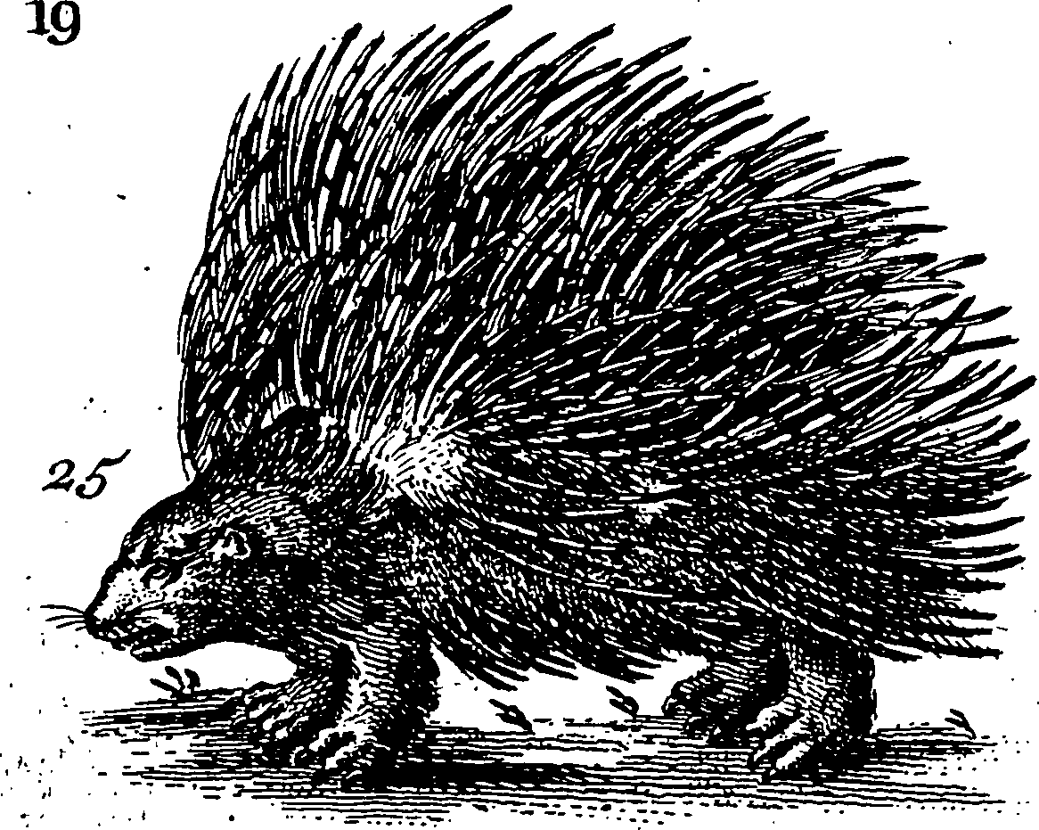 115/115840030000250_1.png