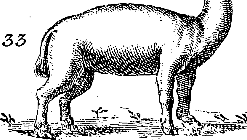 115/115840030000290_0.png