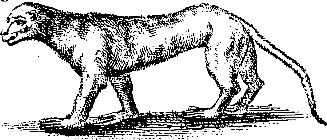 115/115840030000330_0.png