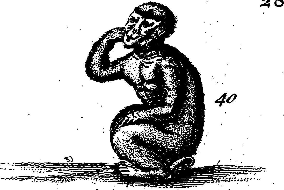 115/115840030000360_2.png