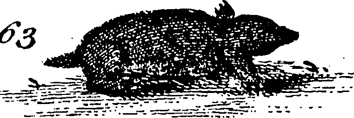 115/115840030000530_0.png