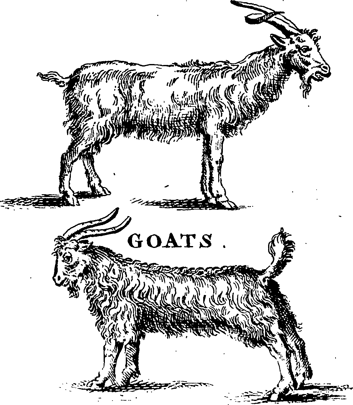 115/115840030000600_0.png