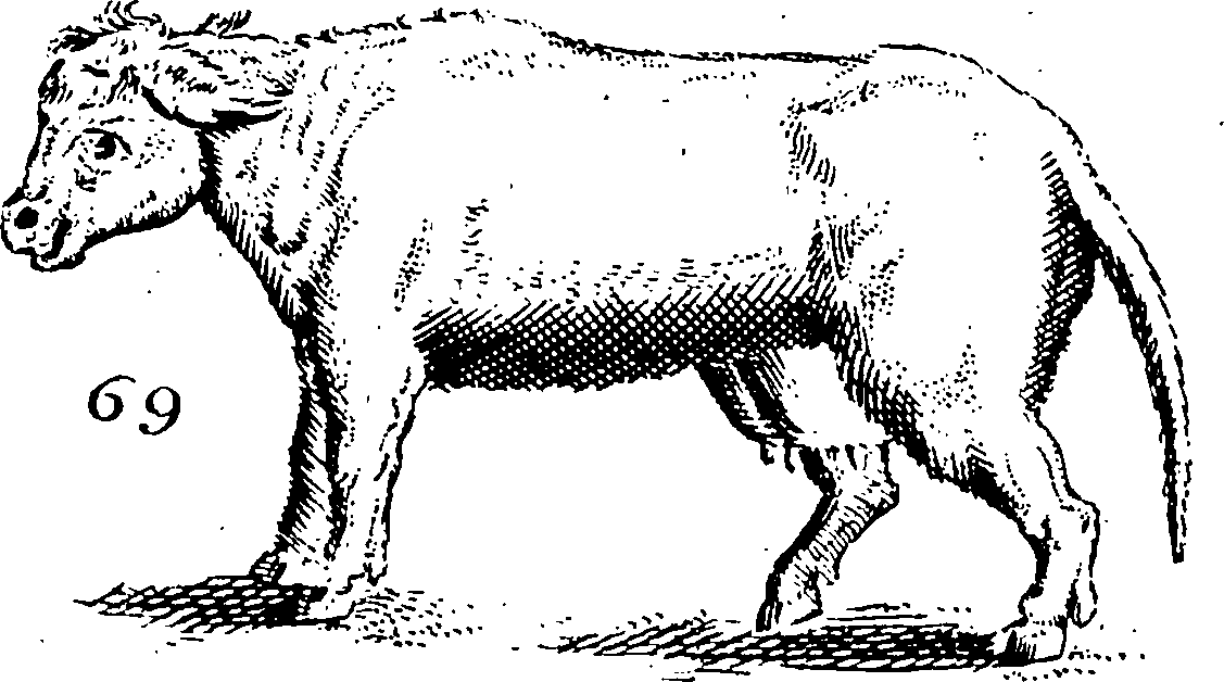 115/115840030000610_0.png